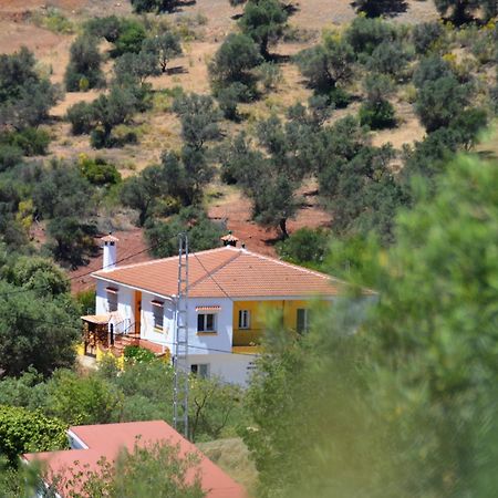 B&B Casa El Corasueno Almogía Exteriör bild